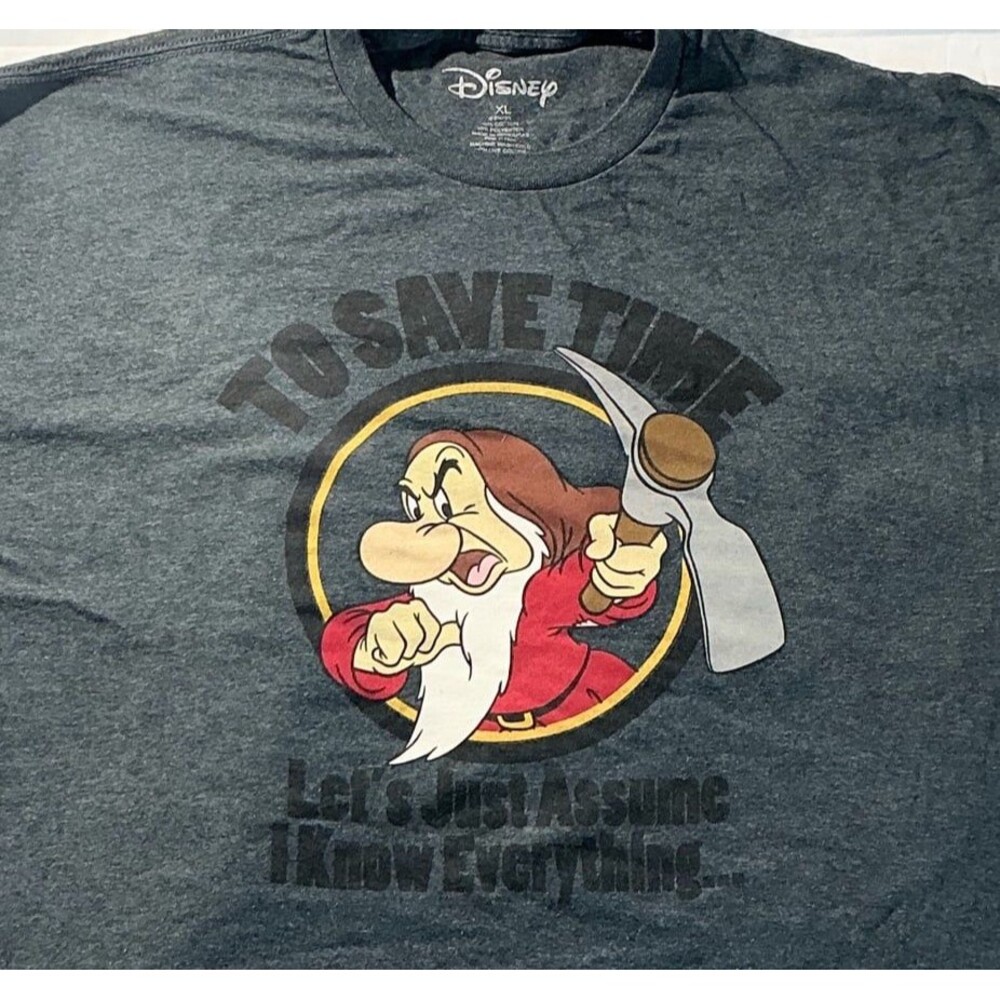 DISNEY GRUMPY DWARF I Know Everything Graphic T-Shirt Gray XL